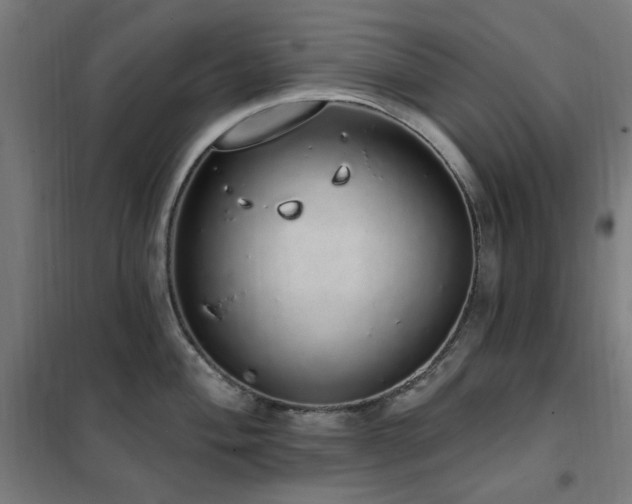X0000102291004200807251418
