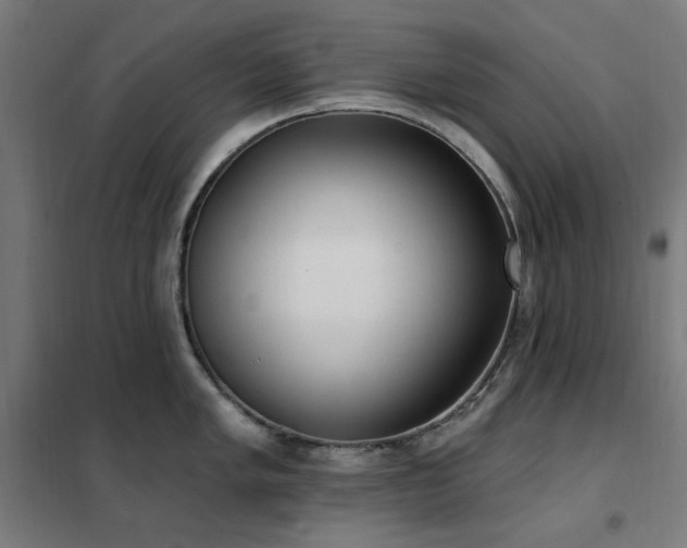 X0000102291005200807251418