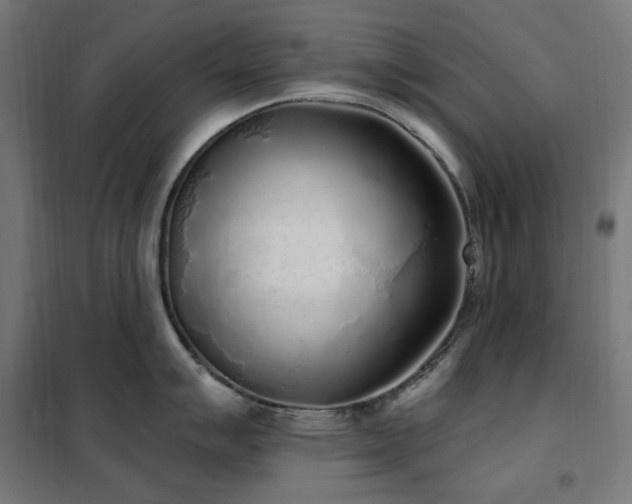 X0000102291007200807251418