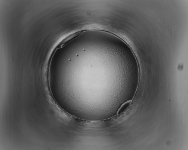 X0000102291008200807251418