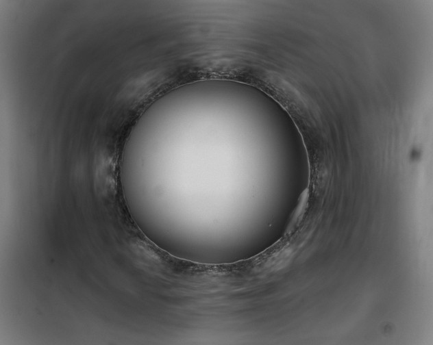 X0000102291010200807251417