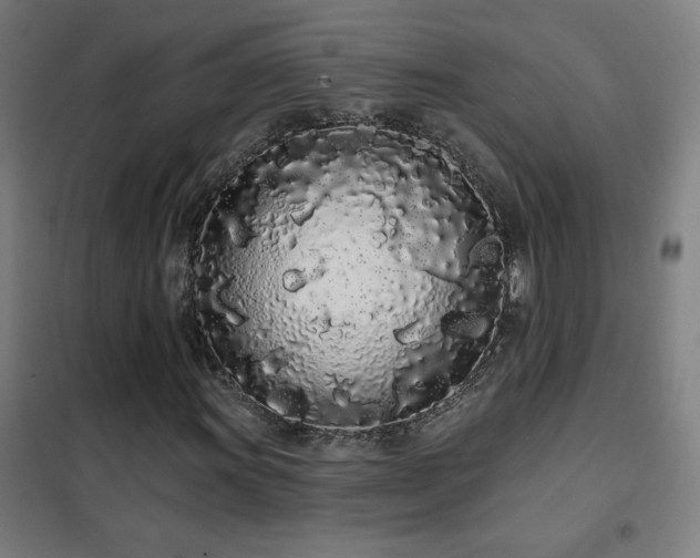 X0000102291011200807251417