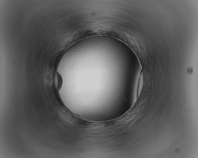 X0000102291012200807251417