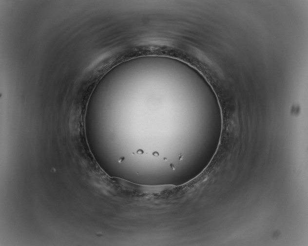 X0000102291014200807251417