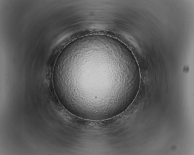 X0000102291015200807251417