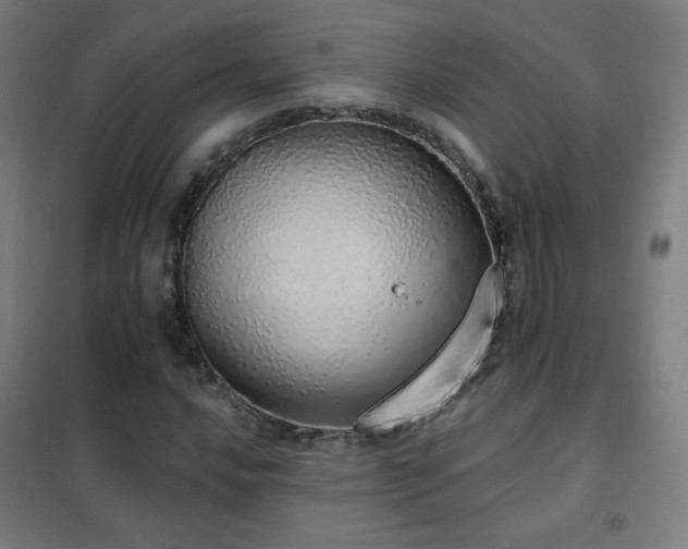 X0000102291016200807251417