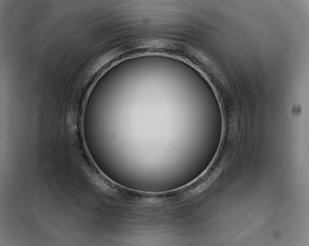 X0000102291017200807251417