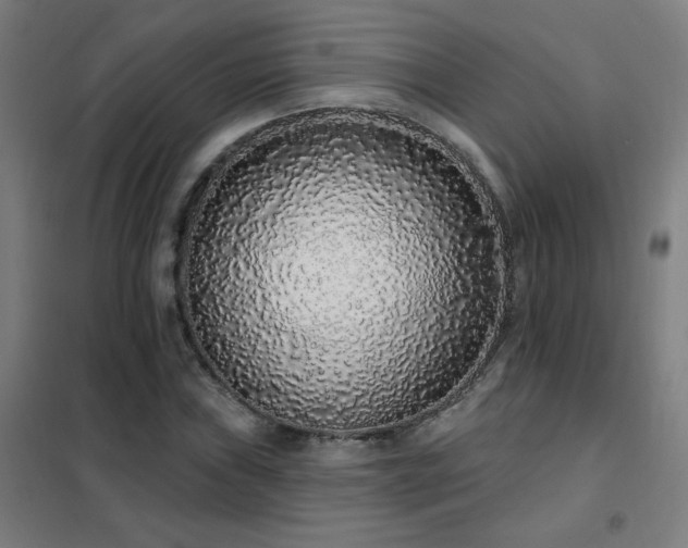 X0000102291019200807251417