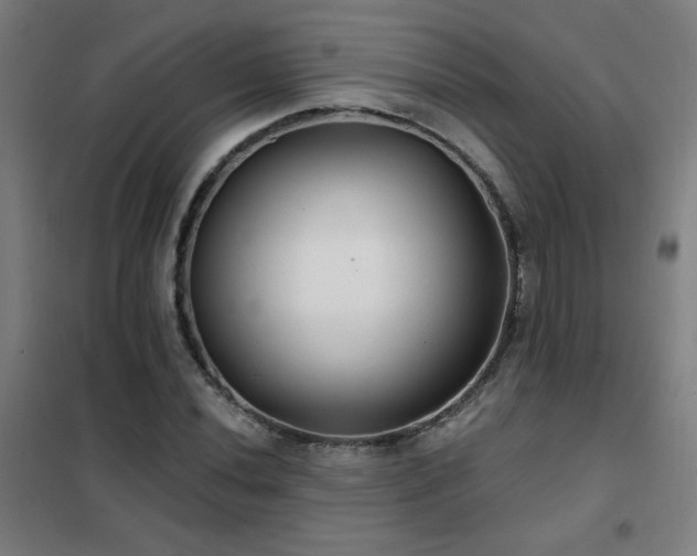 X0000102291020200807251417
