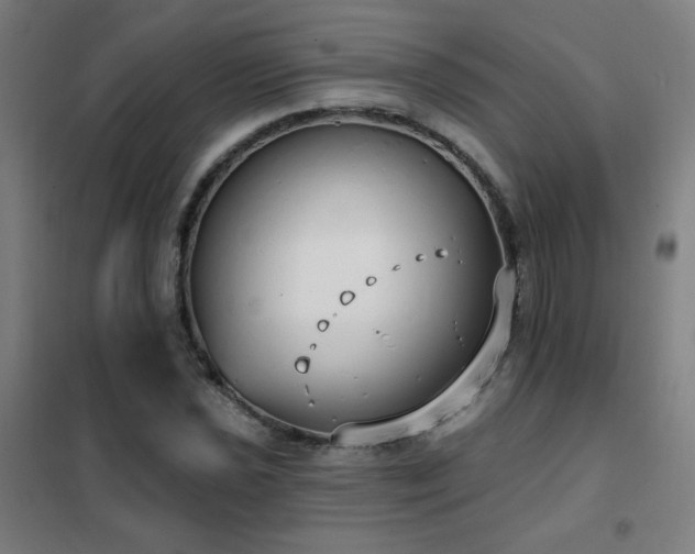 X0000102291021200807251417