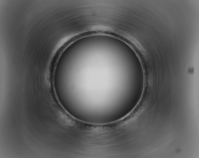X0000102291022200807251417