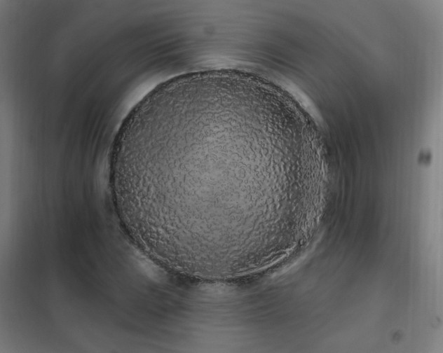 X0000102291023200807251417