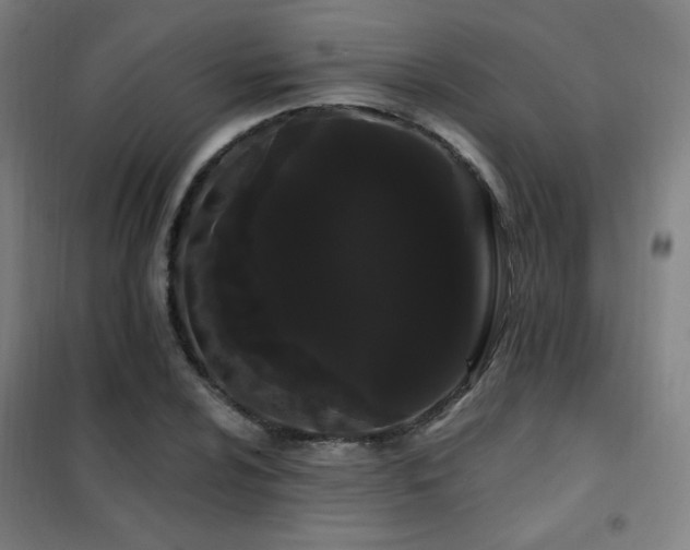 X0000102291024200807251417