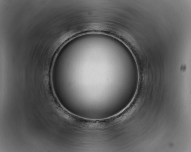 X0000102291025200807251417