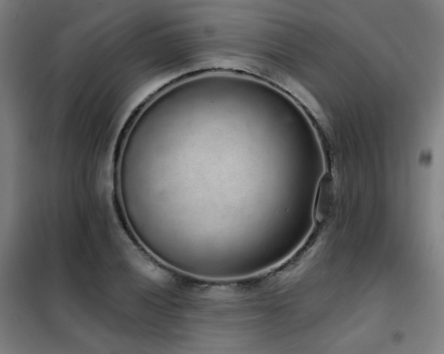 X0000102291028200807251417