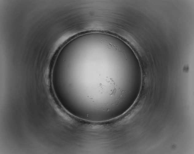 X0000102291030200807251417
