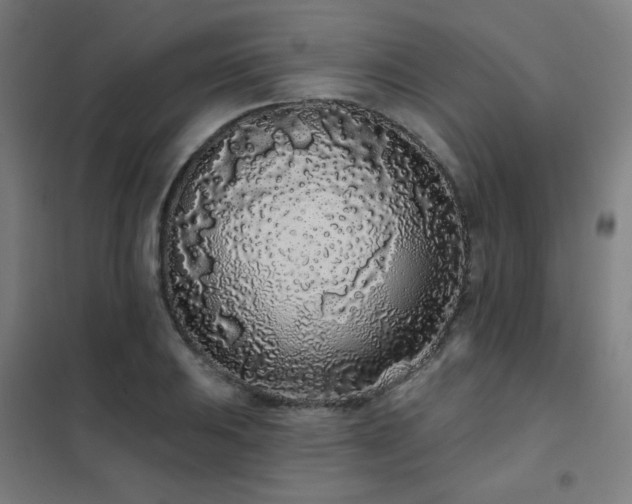 X0000102291031200807251417