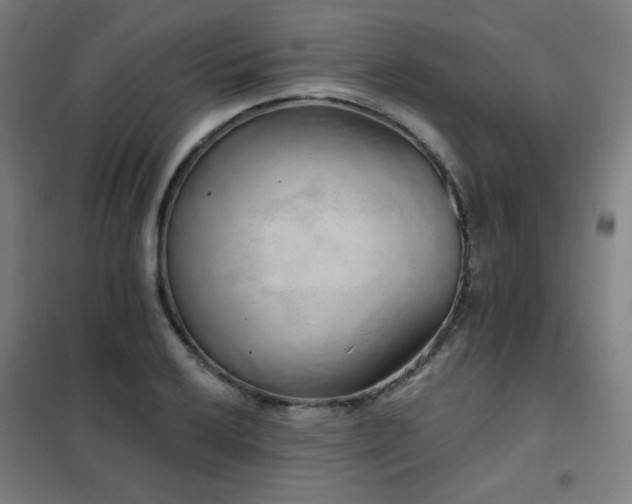 X0000102291032200807251417
