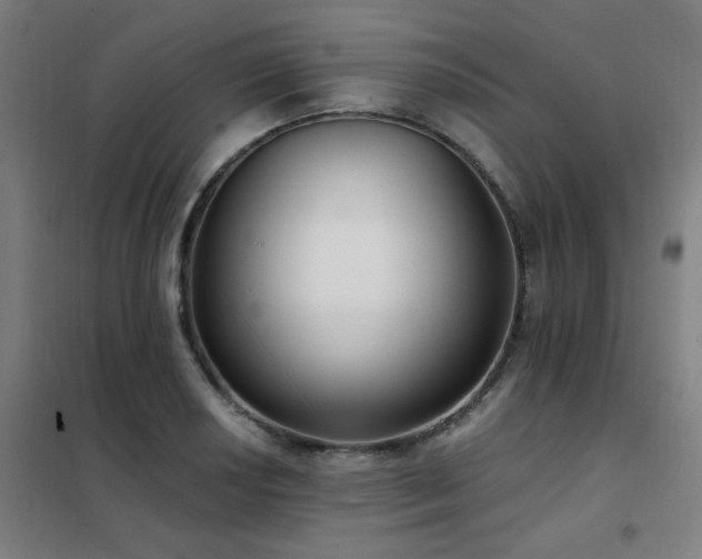 X0000102291034200807251417