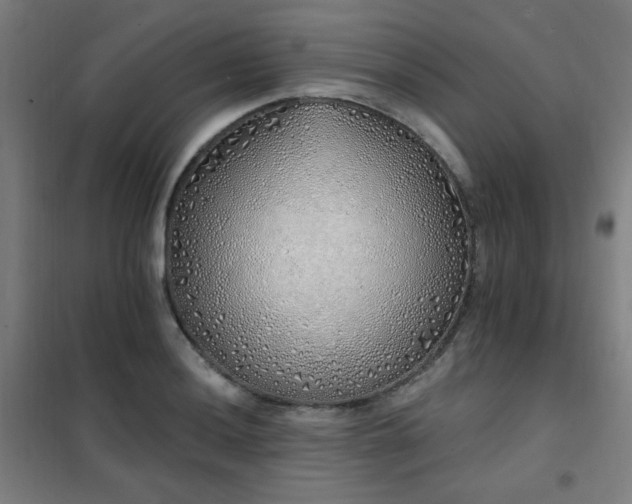 X0000102291036200807251417