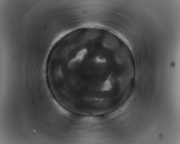 X0000102291037200807251417