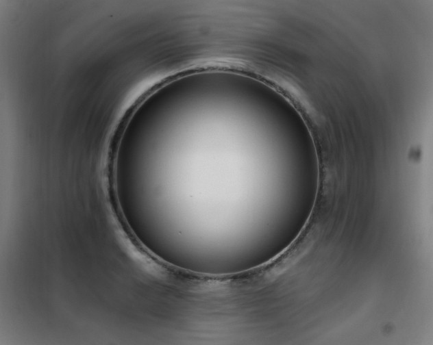 X0000102291038200807251417