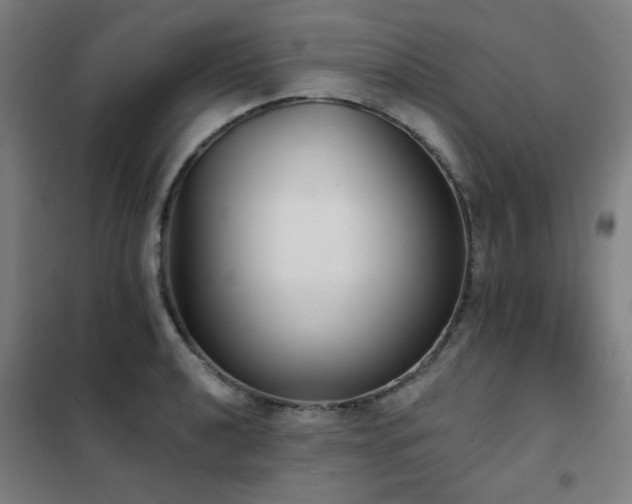 X0000102291040200807251417