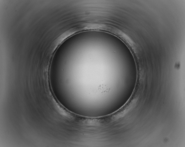 X0000102291041200807251417
