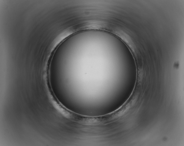 X0000102291042200807251417