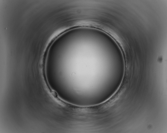 X0000102291045200807251417
