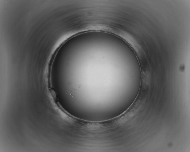 X0000102291046200807251417