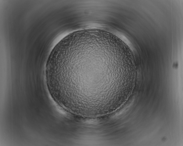 X0000102291047200807251417