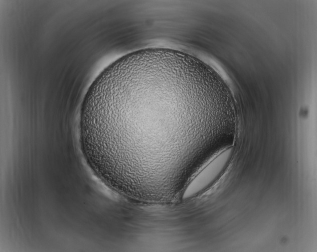 X0000102291048200807251417