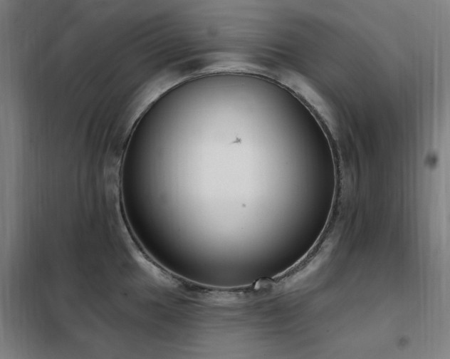 X0000102291049200807251417