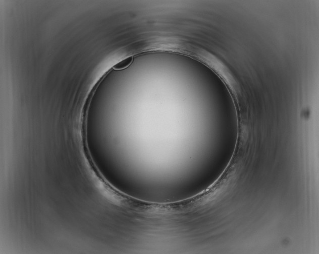 X0000102291050200807251417