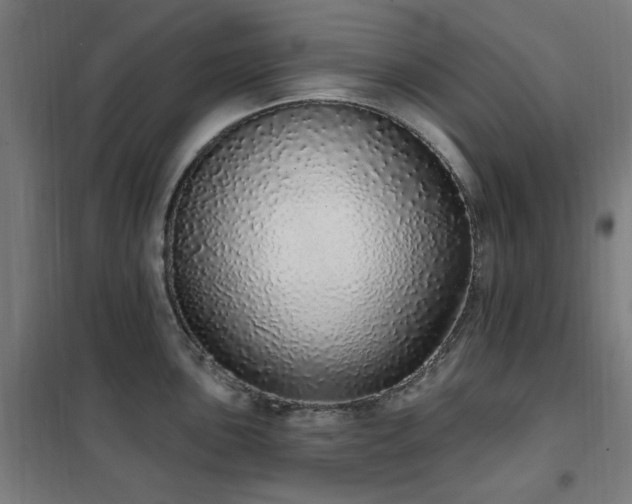 X0000102291051200807251417