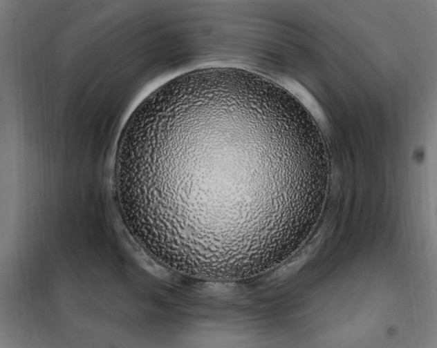 X0000102291052200807251417