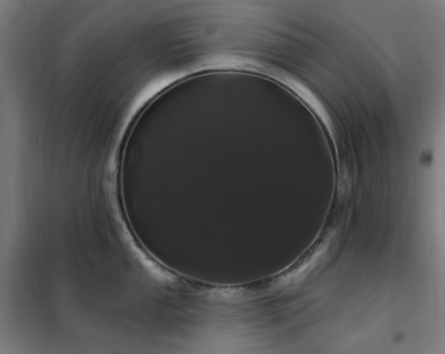X0000102291053200807251418