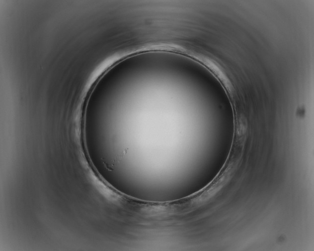 X0000102291054200807251418