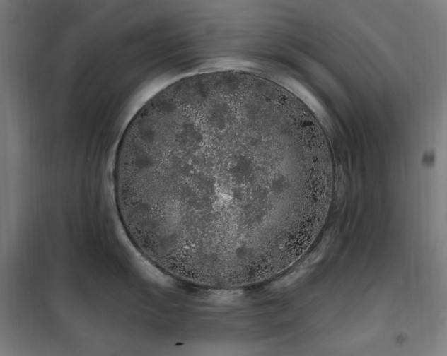 X0000102291055200807251418