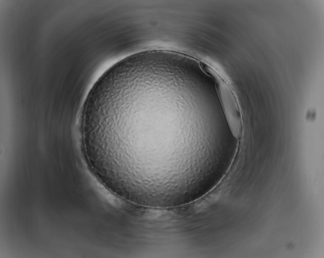X0000102291056200807251418