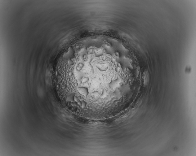 X0000102291059200807251417