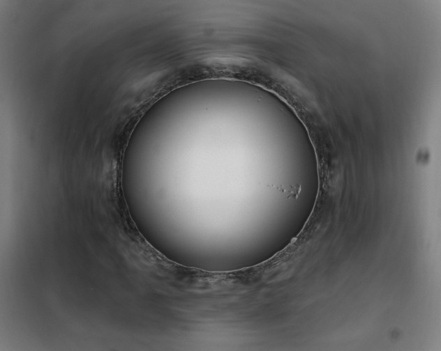 X0000102291061200807251417