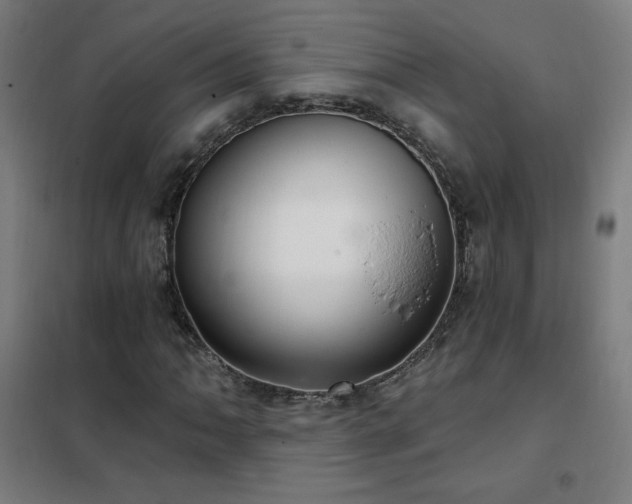 X0000102291062200807251417
