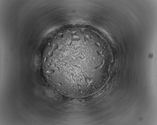 X0000102291063200807251417