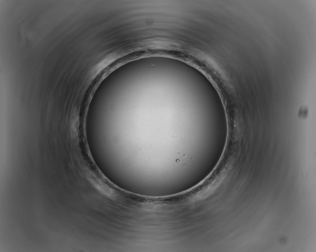 X0000102291065200807251417