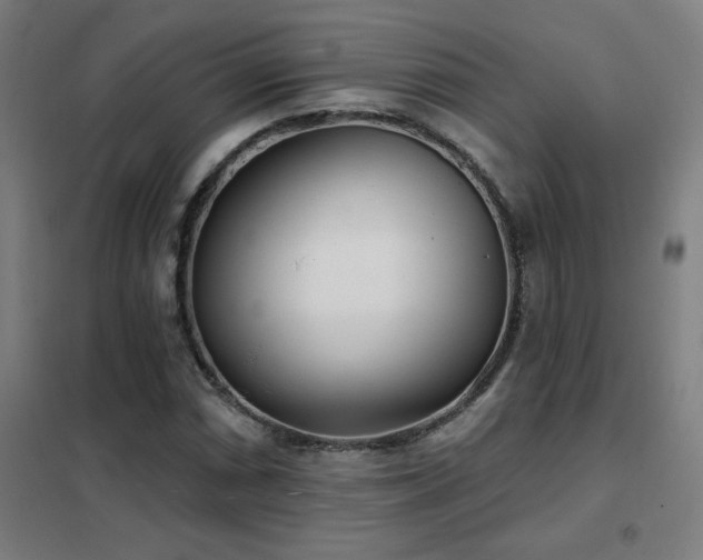 X0000102291066200807251417