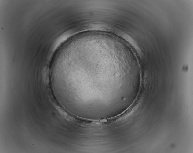 X0000102291067200807251416