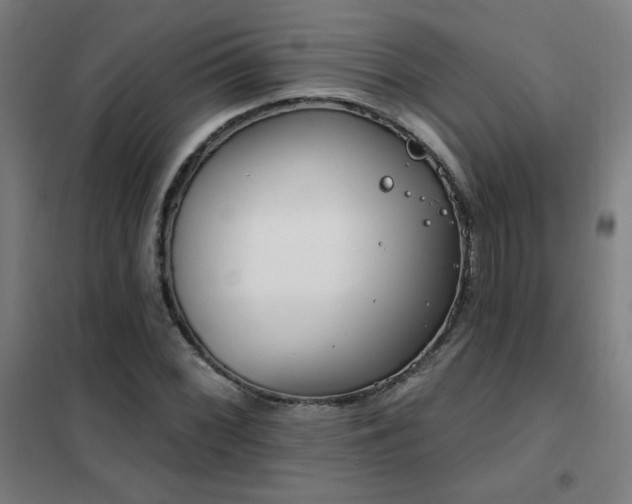 X0000102291068200807251416
