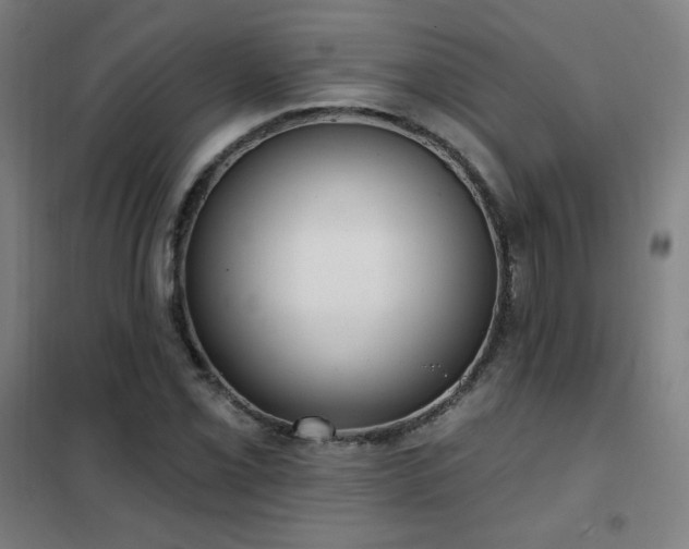 X0000102291069200807251416